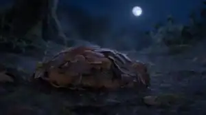 Il riccio che non voleva dormire - storie della buonanotte